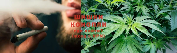 прущие крисы Пересвет