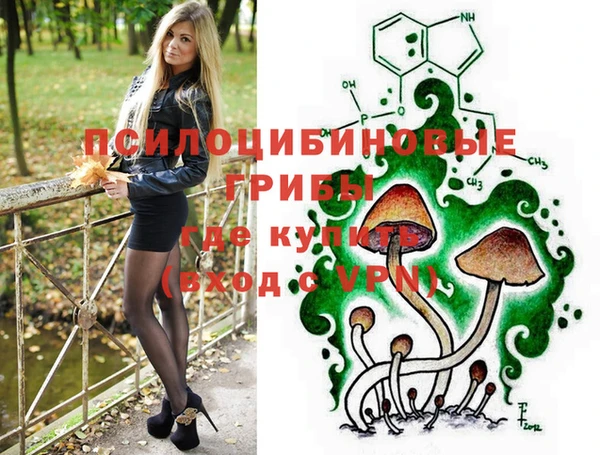 прущие крисы Пересвет