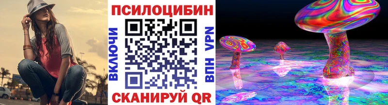 купить наркотик  Катайск  Псилоцибиновые грибы мицелий 
